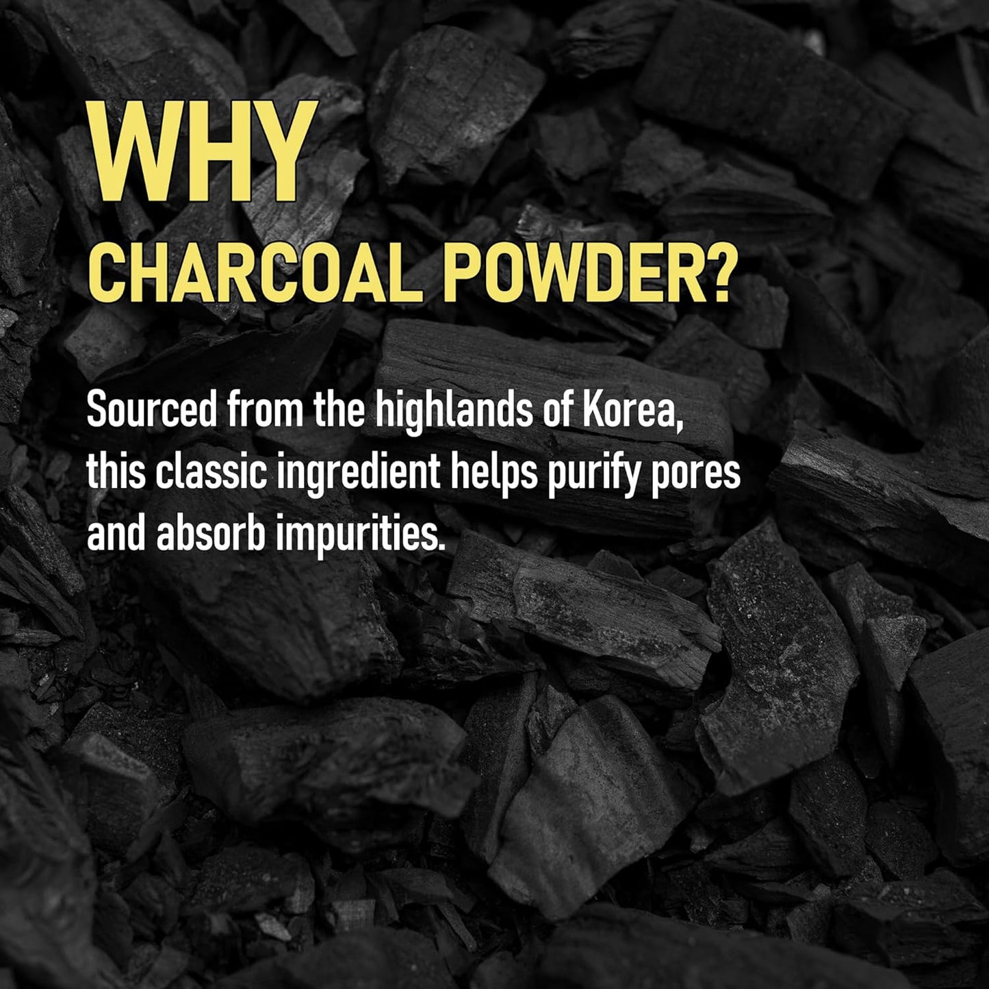 Break Pore Cleansing Pack to Foam β 3-in-1 Korean Skin Care Wash-Off Mask & Exfoliator & Cleanser w/Charcoal and Salicylic Acid β AHA, BHA, PHA for Oily, Congested Skin (3.38 fl oz)