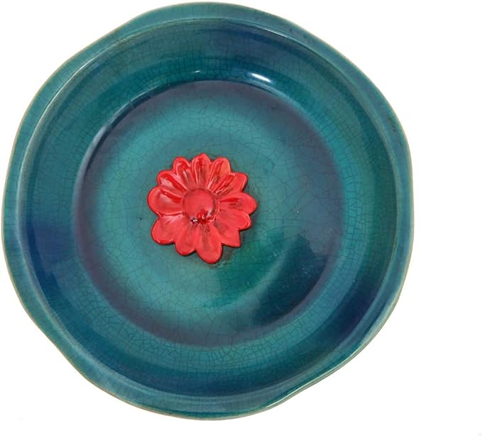 Backyard Birding & Wildlife