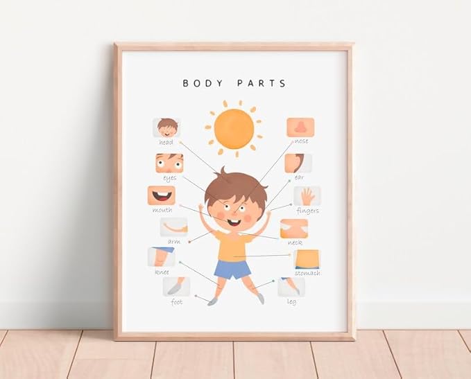 OZCONO Body Parts Poster for Kids Learning, Educational Classroom Wall Chart for Preschool, Toddler, Montessori Nursery Teaching Resource (Unframed) (12x18)