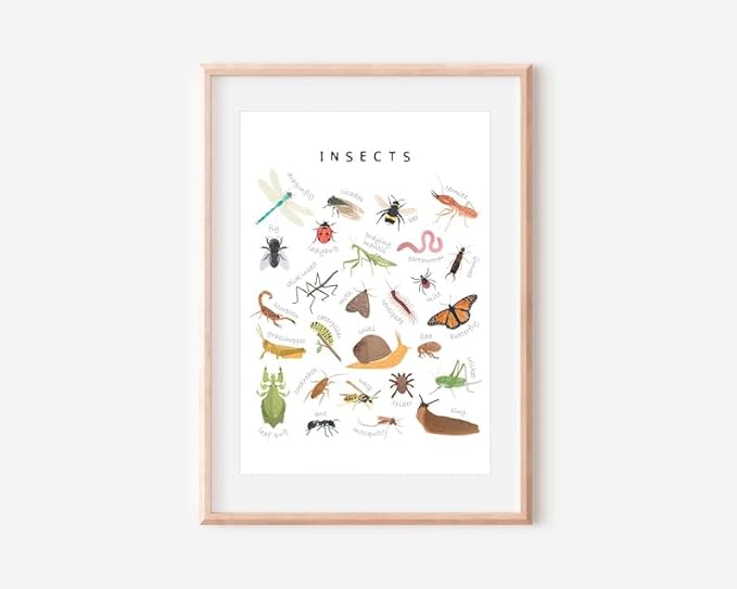 OZCONO Educational Insects Poster, Bugs Learning Chart Kids, Classroom Wall Decor Art, Montessori Homeschool Aid (Unframed) (16x24)