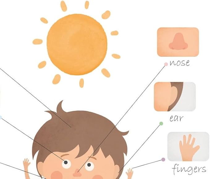 OZCONO Body Parts Poster for Kids Learning, Educational Classroom Wall Chart for Preschool, Toddler, Montessori Nursery Teaching Resource (Unframed) (27x40)