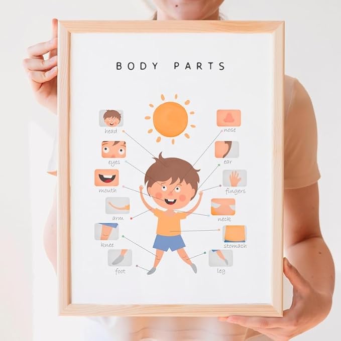OZCONO Body Parts Poster for Kids Learning, Educational Classroom Wall Chart for Preschool, Toddler, Montessori Nursery Teaching Resource (Unframed) (27x40)