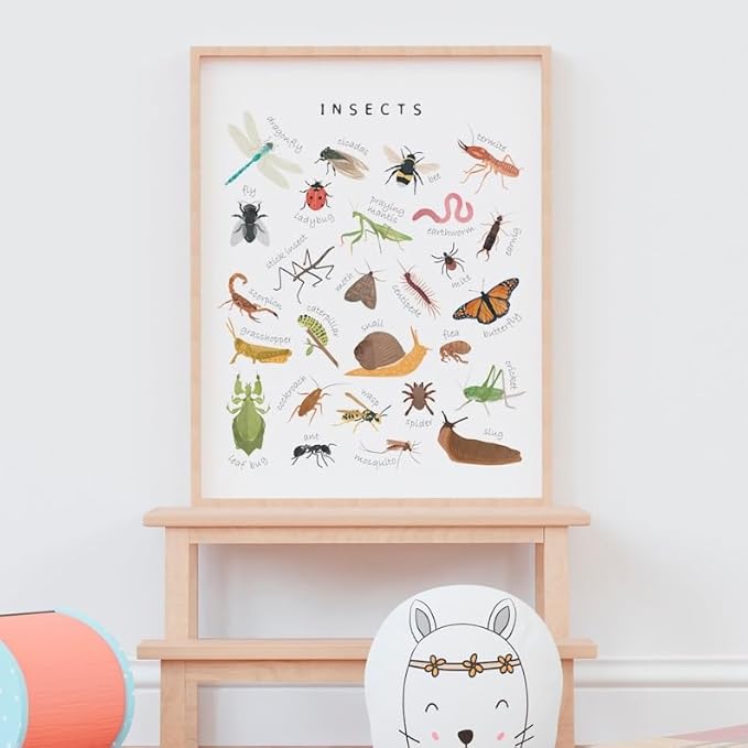OZCONO Educational Insects Poster, Bugs Learning Chart Kids, Classroom Wall Decor Art, Montessori Homeschool Aid (Unframed) (16x24)