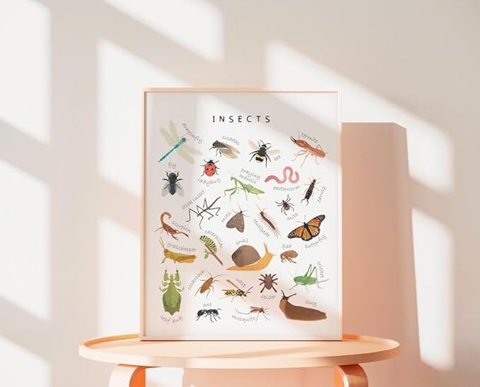 OZCONO Educational Insects Poster, Bugs Learning Chart Kids, Classroom Wall Decor Art, Montessori Homeschool Aid (Unframed) (9x11)