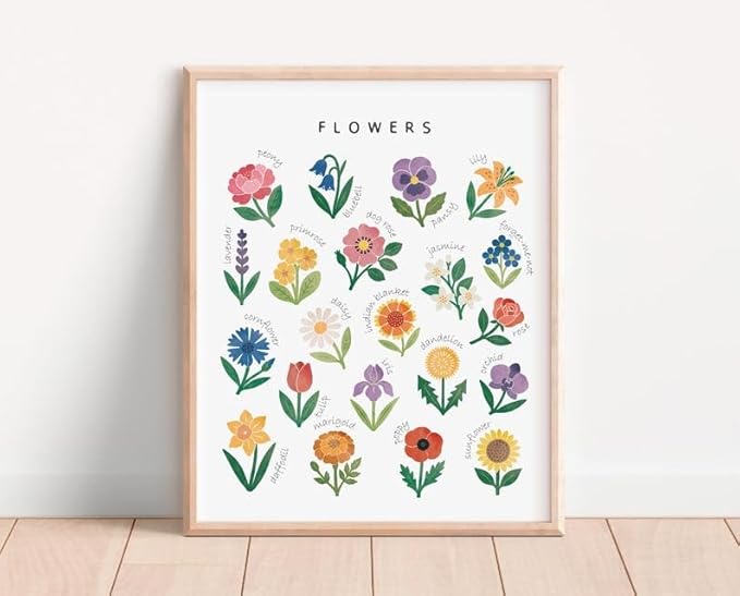 OZCONO Flowers Learning Poster, Vibrant Nature Chart Kids, Preschool Wall Decor Art, Homeschool Education Guide (Unframed) (27x40)