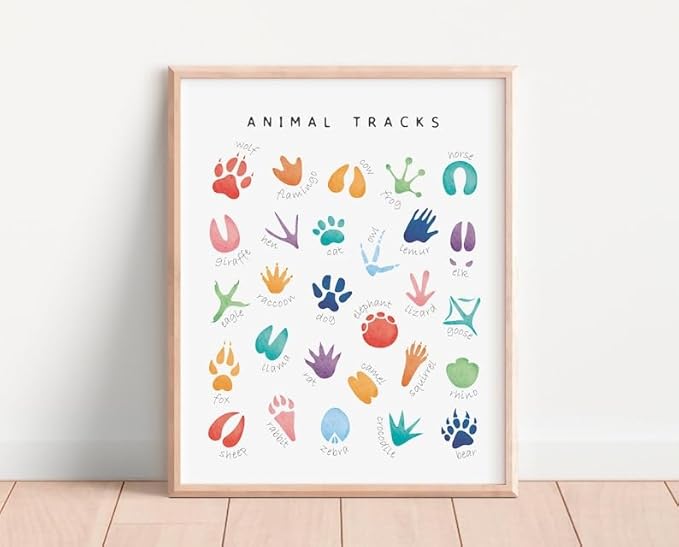 OZCONO Animal Tracks Learning Poster, Vibrant Wildlife Chart Kids, Preschool Wall Decor Art, Homeschool Education Guide (Unframed) (20x30)