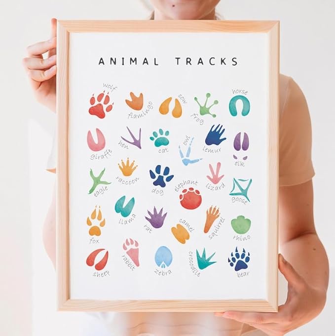 OZCONO Animal Tracks Learning Poster, Vibrant Wildlife Chart Kids, Preschool Wall Decor Art, Homeschool Education Guide (Unframed) (20x30)