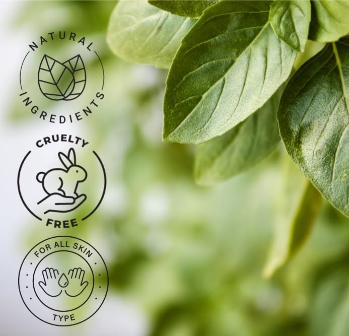 Basil Essential Oil – 16 fl oz (473 ml) Amber Glass Bottle – 100% Pure, Undiluted, Therapeutic Grade – Fresh, Herbaceous Aroma – GreenHealth