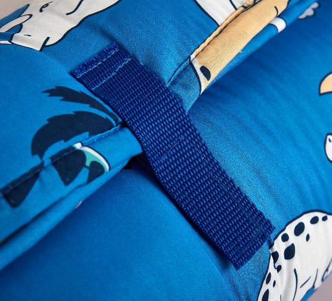 Toddler Nap Mat with Removable Pillow & Minky Blanket Sleeping Bag for Kids Handle & Fastening Nap Mats for Preschool Daycare Kindergarten Kids Sleeping Bag (Ages 2-7 Years) Blue Dinosaur