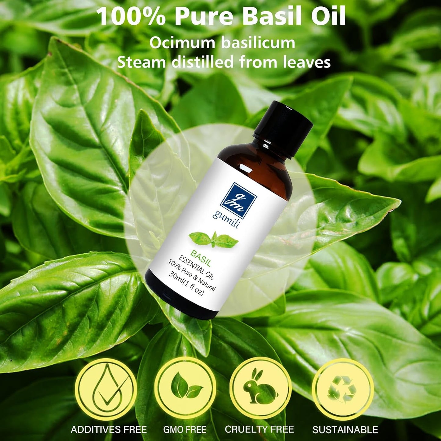 Basil Essential Oil 1 Oz – 100% Pure Natural Basil Oil for Diffuser, Skin, Massage & DIY, Fresh Herbaceous Aroma