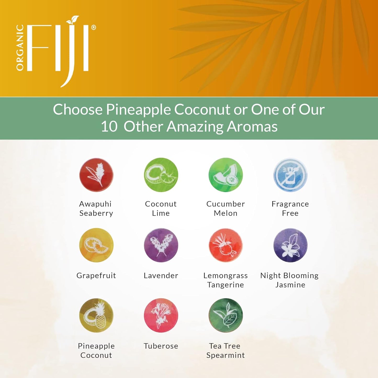 Coco Fiji Face & Body Lotion Infused With Coconut Oil | Lotion for Dry Skin | Moisturizer Face Cream & Massage Lotion for Women & Men | Pineapple Coconut 12 oz, Pack of 1