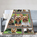 Yorkie Blanket Yorkshire Terrier Decor Throw Blanket Super Soft Flannel Lightweight Fluffy Plush Fuzzy Fleece Dog Blanket Gifts for Dog Lover Woman Girl Kids Boys for Bed Sofa Bedding 60"X80"