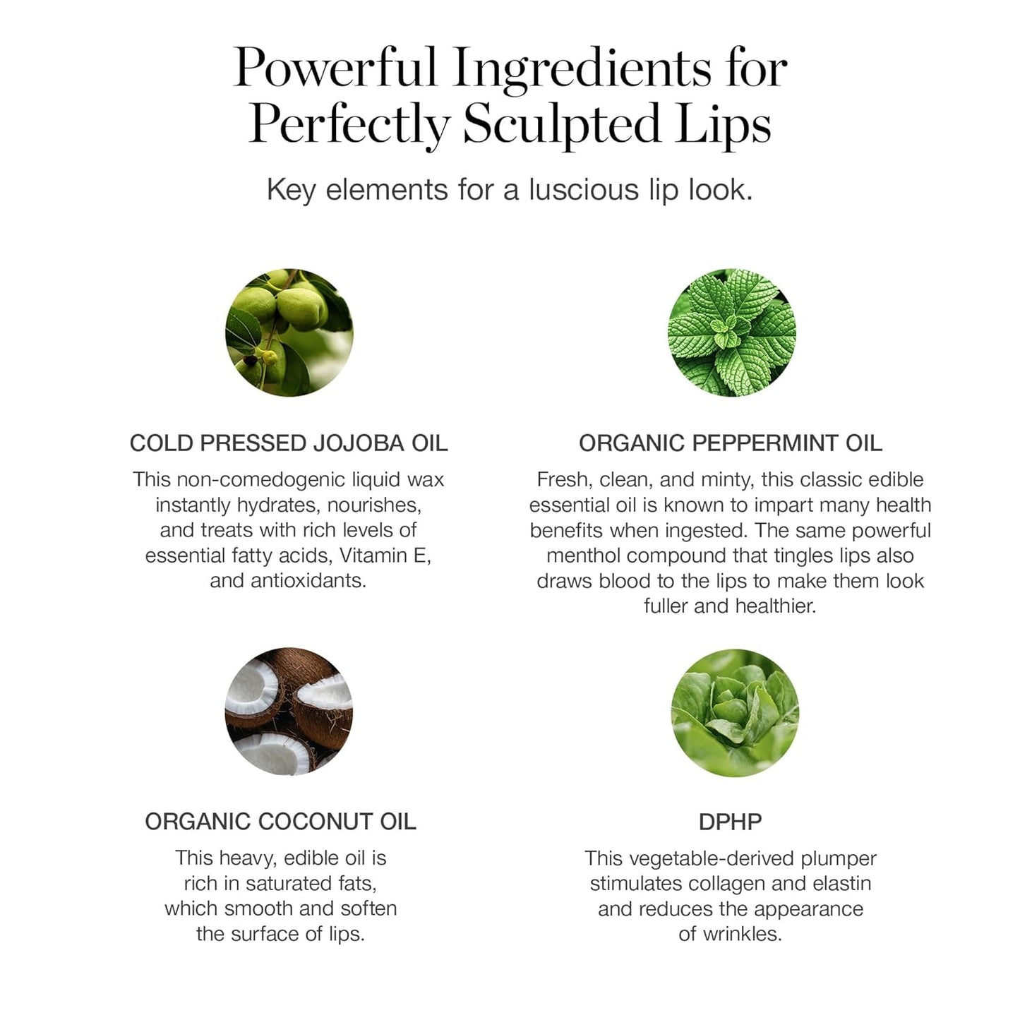 Ogee Tinted Sculpted Lip Oil - Lip Stain Made with 100% Organic Coconut Oil, Jojoba Oil, and Vitamin E - Best as Lip Balm, Lip Color or Lip Treatment - BEGONIA