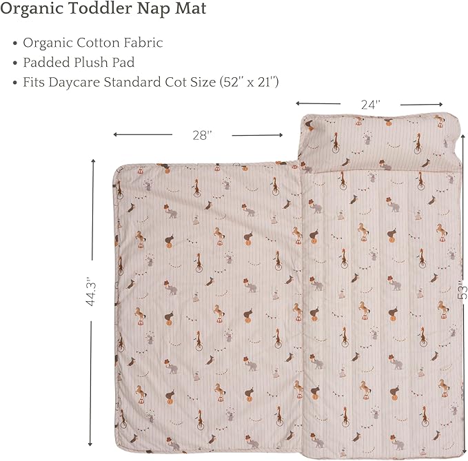 Organic Toddler Nap Mat – 100% Cotton Kids Washable Sleeping Mat & Detachable Pillow – Sleeping Bag with Soft 1.5” Pad – Ideal Nap Mat for Daycare, Preschool, & Sleepovers