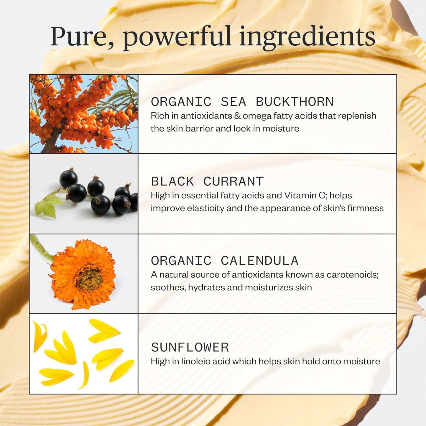 Ursa Major Golden Hour Face Moisturizer | Vegan Recovery Cream for Daily Facial Moisturizing | Repair & Hydrate | Natural Formula for All Skin Types | Cruelty Free & Non-Toxic 1.57 oz