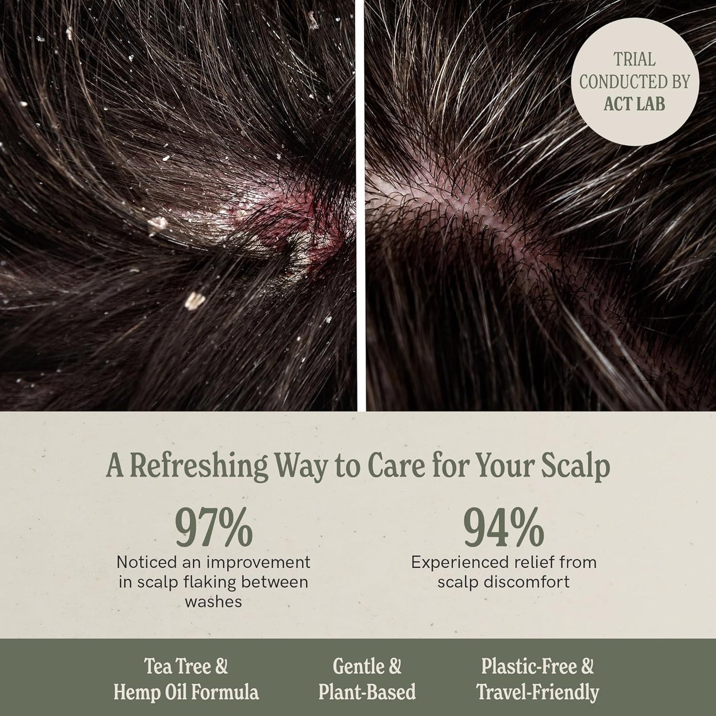 J·R·LIGGETT'S Shampoo Bar - Tea Tree Formula, All Natural Solid Shampoo Bar for Hair with Coconut Oil & Almond Oil, Sulfate Free, GMO Free, Fragrance-Free, Managing Scalp Conditions, 3.5 oz - 1 Pack