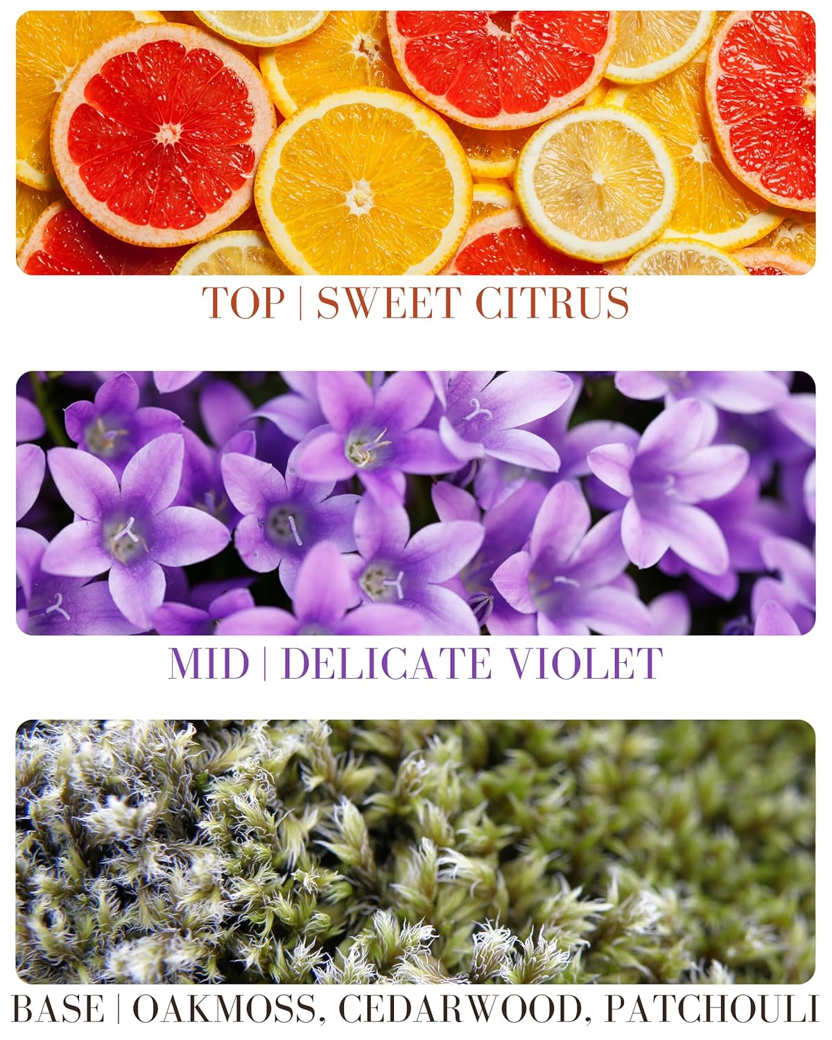 Orange Patchouli Delicious Natural Pure Essential and Fragrance Oil Perfume Roll On with Organic Jojoba Oil, Eau de Toilette, Alcohol Free, Small-Batch, Made in California