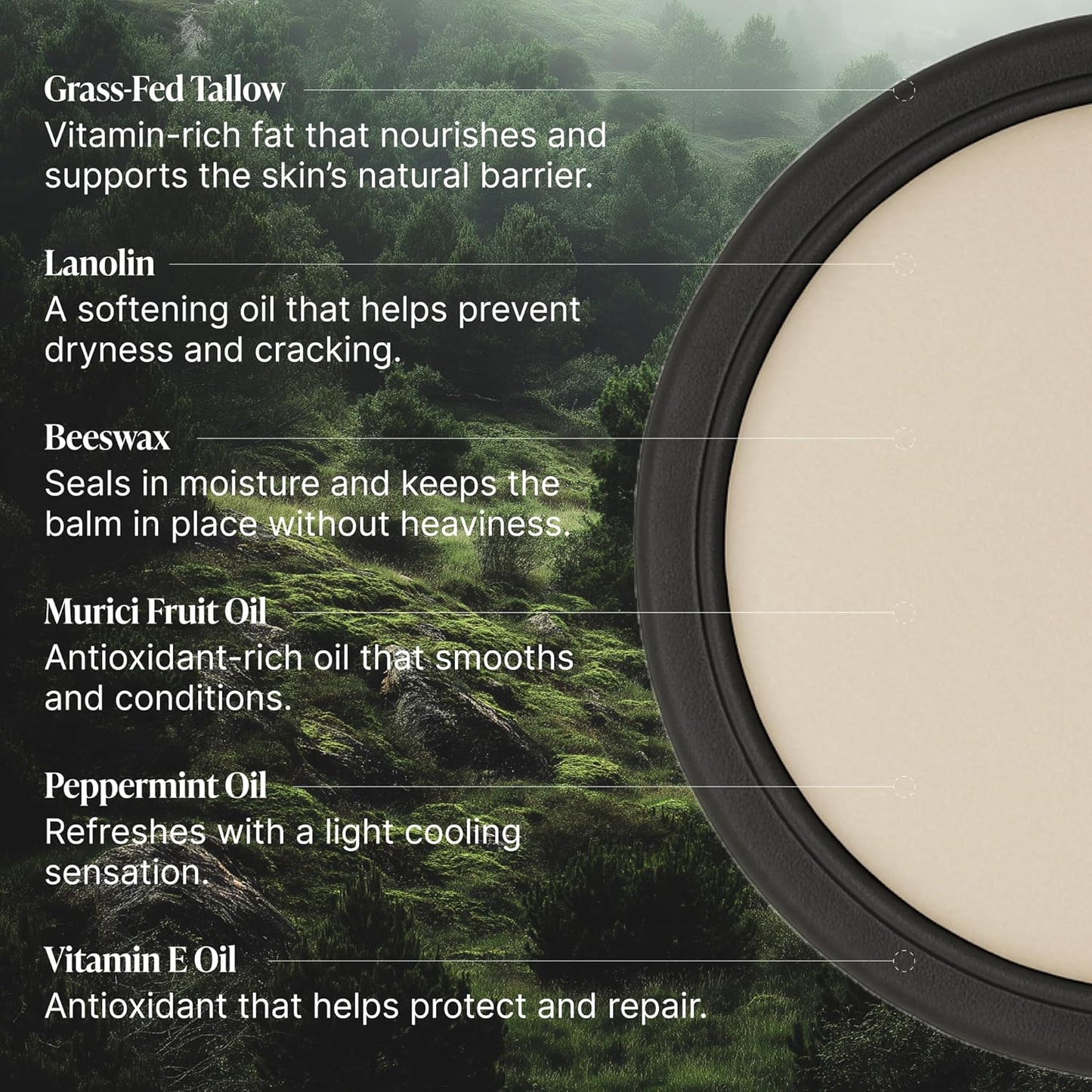 Peppermint Grass-Fed Tallow Lip Balm, Lip Sleeping Mask, Overnight Moisturizer, Natural & Clean Moisturizing Lip Balm w/Vitamins A, D, E, & K, Nourishes & Smooths Texture, Dry & Chapped Lips